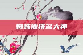 蜘蛛池排名大神