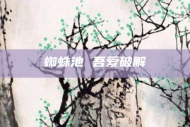 蜘蛛池 吾爱破解