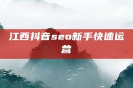 江西抖音seo新手快速运营