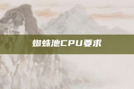 蜘蛛池CPU要求