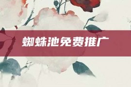 蜘蛛池免费推广