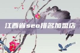 江西省seo排名加盟店