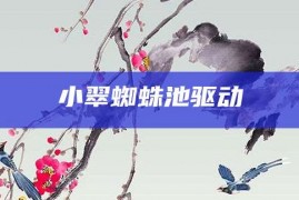 小翠蜘蛛池驱动