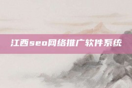 江西seo网络推广软件系统