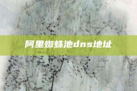 阿里蜘蛛池dns地址