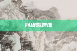 网络蜘蛛池