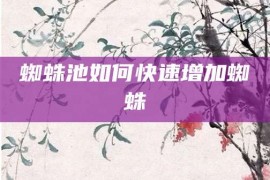 蜘蛛池如何快速增加蜘蛛