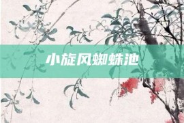 小旋风蜘蛛池