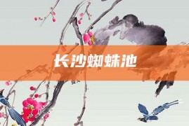 长沙蜘蛛池