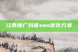 江西推广抖音seo优化方案