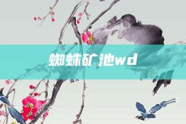 蜘蛛矿池wd