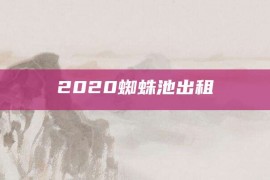 2020蜘蛛池出租