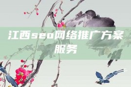 江西seo网络推广方案服务