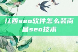 江西seo软件怎么装南昌seo技术