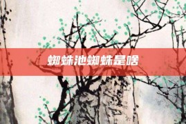 蜘蛛池蜘蛛是啥