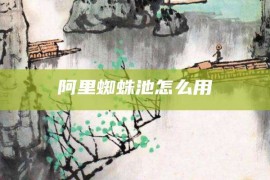 阿里蜘蛛池怎么用