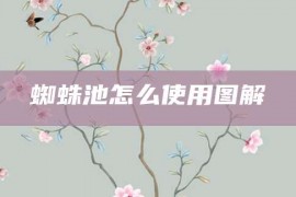 蜘蛛池怎么使用图解