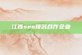 江西seo排名合作企业