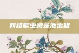 网络爬虫蜘蛛池出租