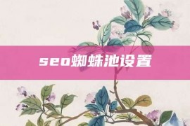 seo蜘蛛池设置