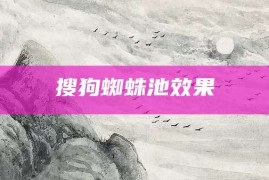 搜狗蜘蛛池效果