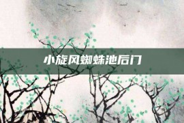 小旋风蜘蛛池后门