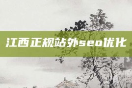 江西正规站外seo优化