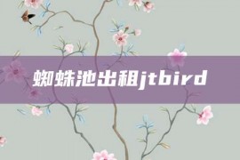 蜘蛛池出租jtbird