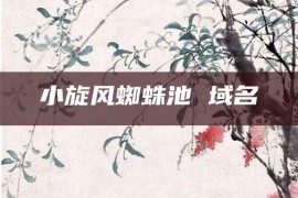 小旋风蜘蛛池 域名