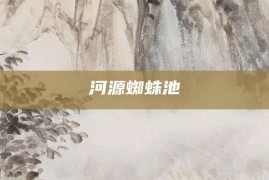 河源蜘蛛池