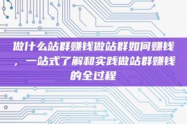 做什么站群赚钱做站群如何赚钱，一站式了解和实践做站群赚钱的全过程