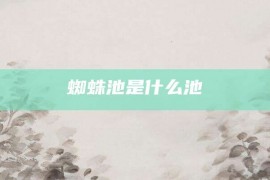 蜘蛛池是什么池