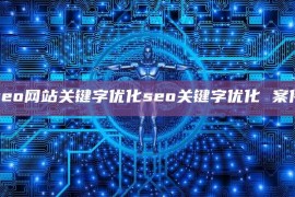 seo网站关键字优化seo关键字优化 案件