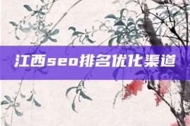 江西seo排名优化渠道