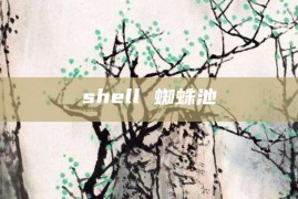 shell 蜘蛛池