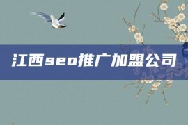 江西seo推广加盟公司