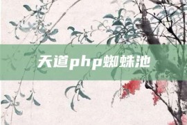 天道php蜘蛛池