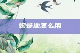 蜘蛛池怎么用