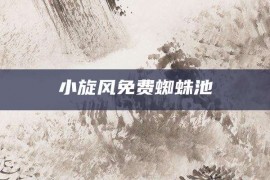 小旋风免费蜘蛛池