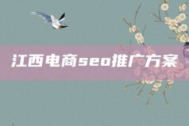 江西电商seo推广方案