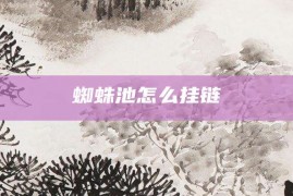 蜘蛛池怎么挂链