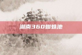 湖南360蜘蛛池