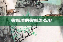 蜘蛛池的蜘蛛怎么用