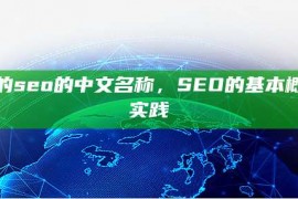 seo的seo的中文名称，SEO的基本概念和实践