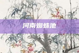 河南蜘蛛池