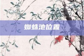 蜘蛛池位置