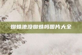 蜘蛛池没蜘蛛吗图片大全