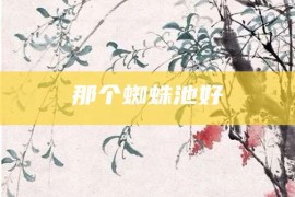 那个蜘蛛池好