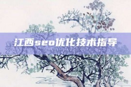 江西seo优化技术指导