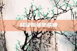 超级蜘蛛池歌曲